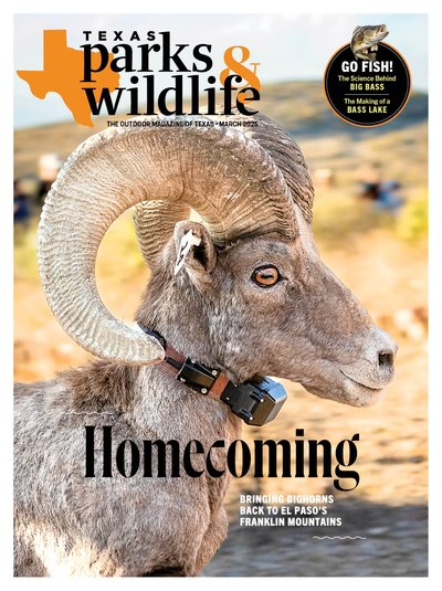 March2025_cover