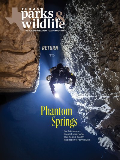 Cover March 2026 - Suba diver swimming through a crevice in an underwater cave - Title Phantom Springs