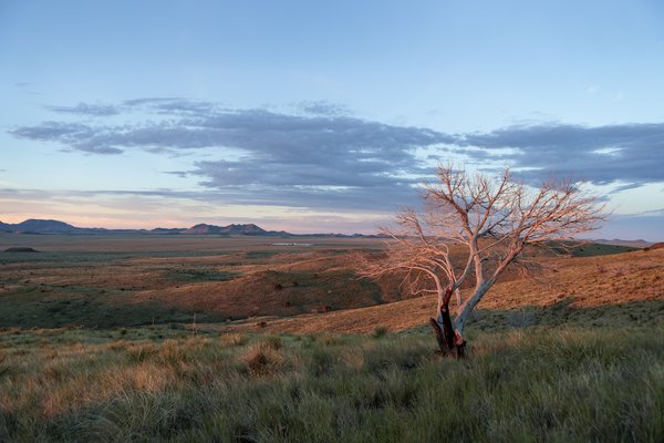 Davis Mountains skyline