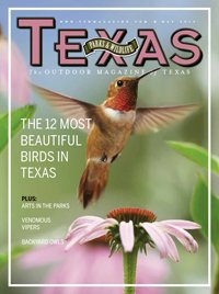 May 2015 cover with humming bird fly over pink daisy with the title 12 most beautiful birds in texas