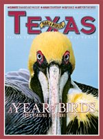 May 2008 Cover - Close up on Brown Pelican - Title: A Year of Birds