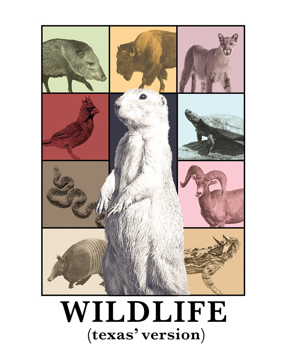 Wildlife (Texas' version) poster