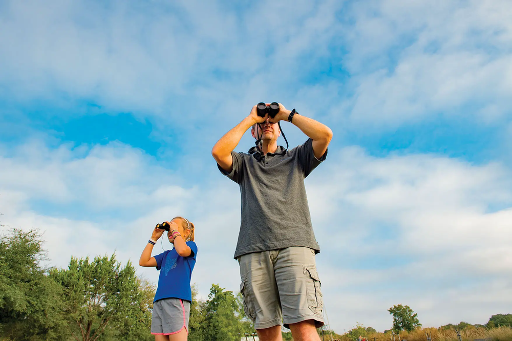 Couple viewing nature through binoculars