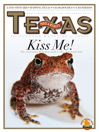 November 2010 Cover - Redish-brown Toad - Title: Kiss Me!