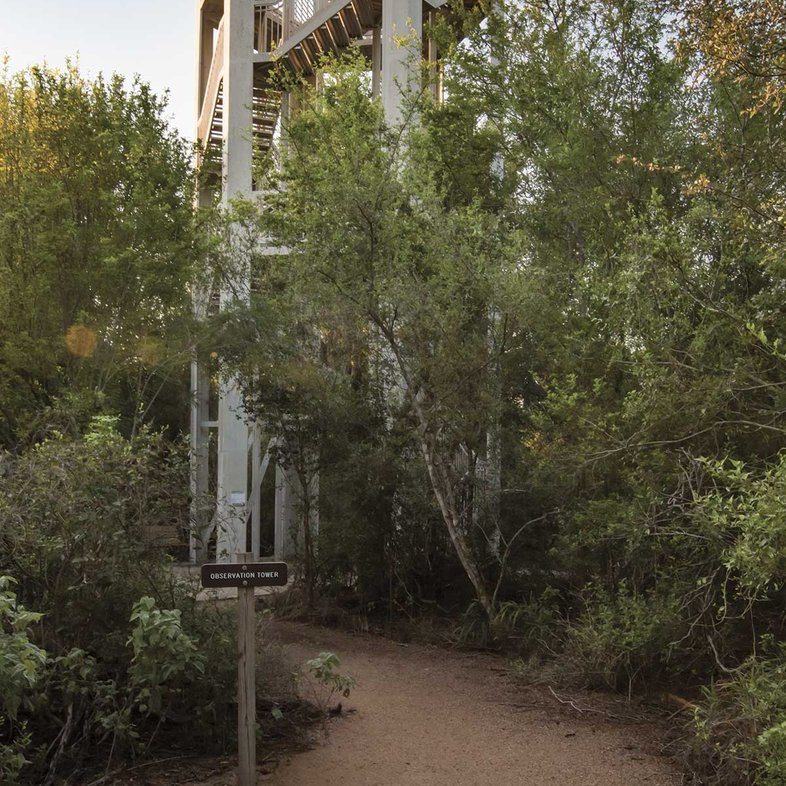 Observation tower on a trail at Santa Ana National Wildlife Refuge.