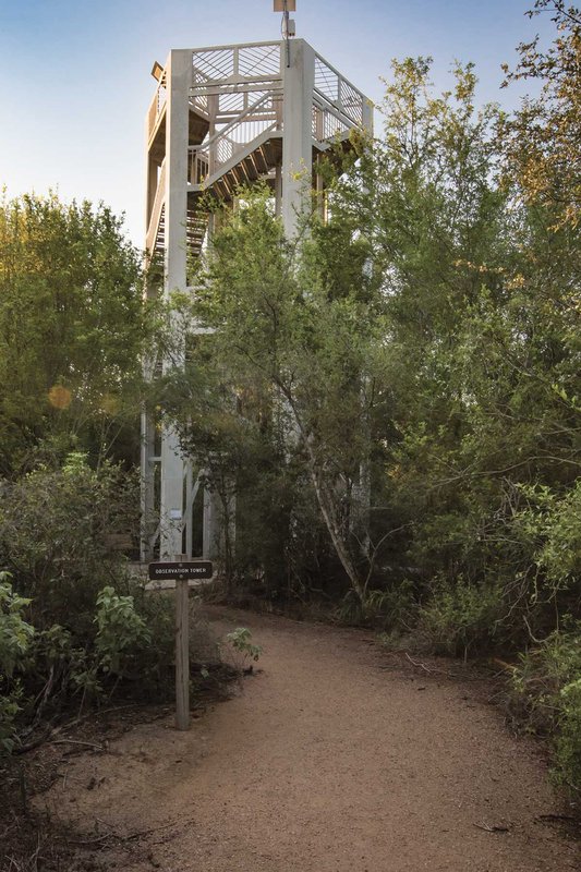 Observation tower on a trail at Santa Ana National Wildlife Refuge.