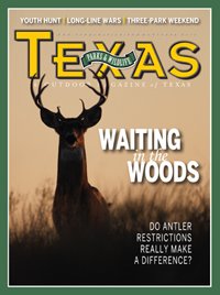 October 2014 Cover : Big Buck stand in a field at dusk - Title:Waiting in the Woods