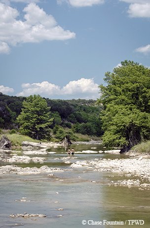 Swimming at Pedernales Falls State Park