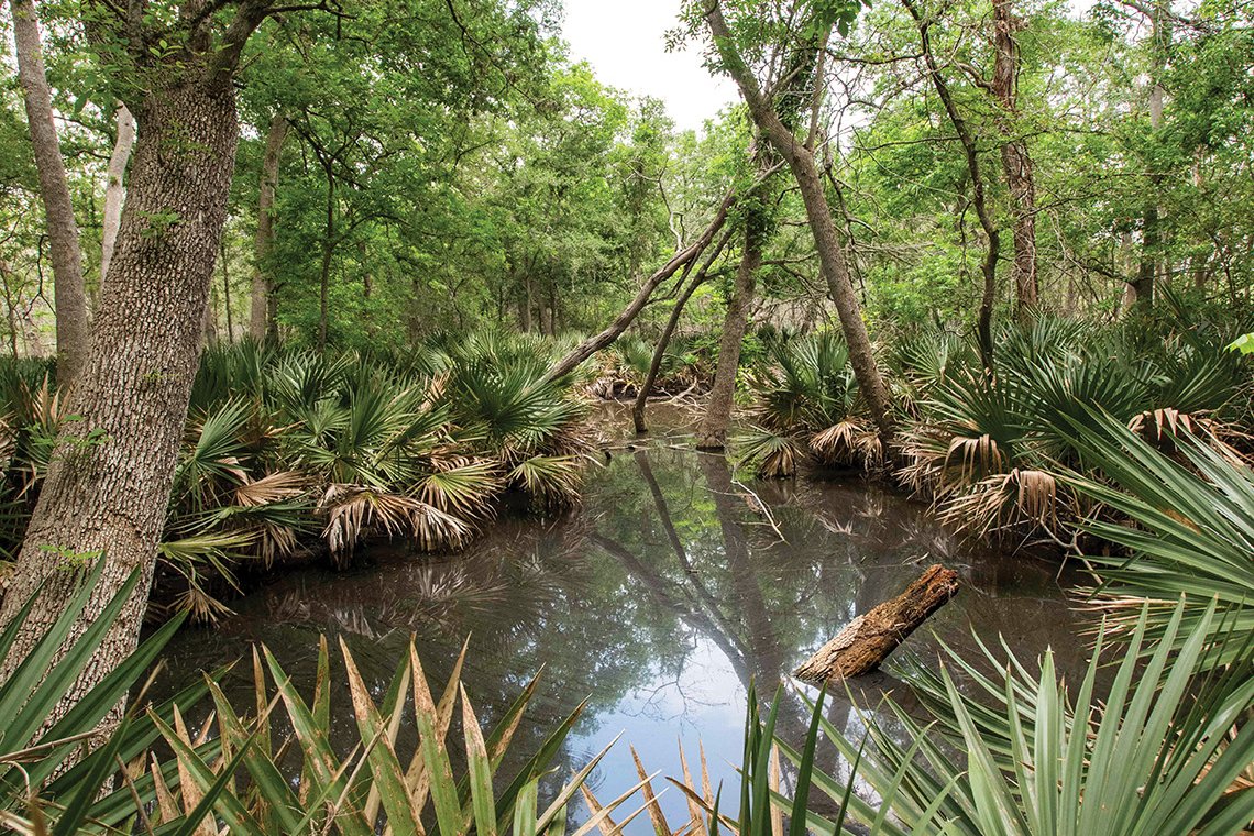 Palmetto State Park