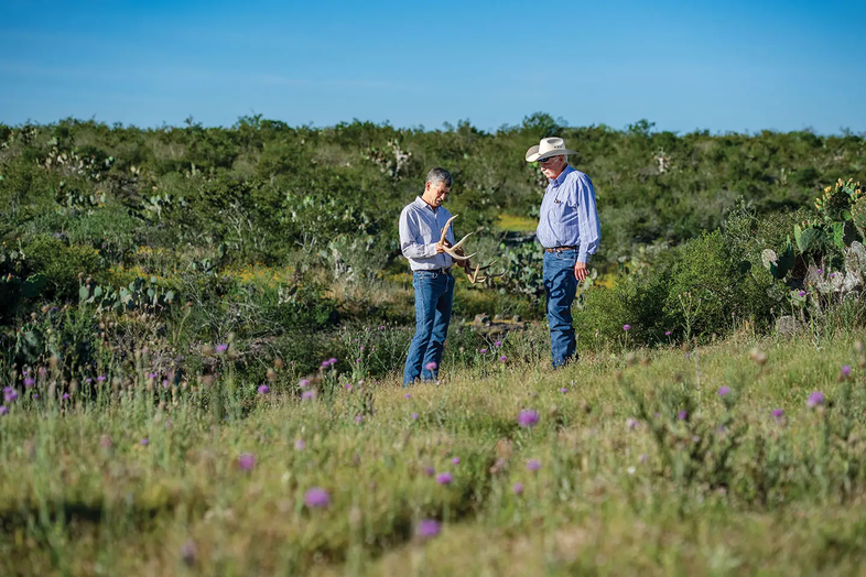 People looking at anterlers in a field