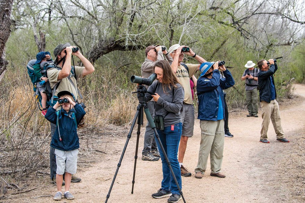 People on a trail birdwatching at Santa Ana National Wildlife Refuge.
