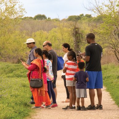 People on a trail looking at wildlife
