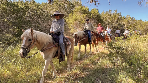 People on horseback on a trail