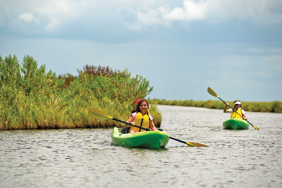People paddling in kayaks on a paddling trail.