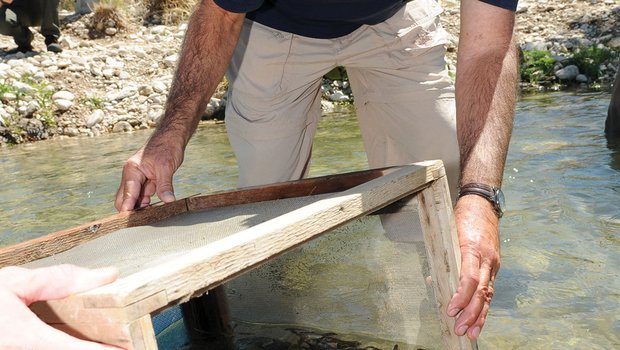 People releasing fish from a box