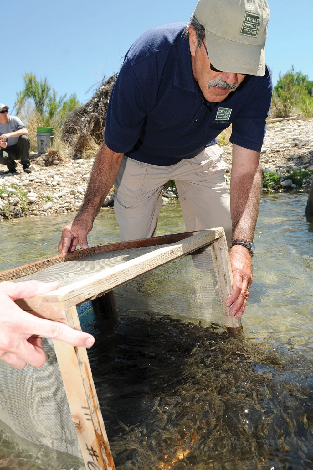 People releasing fish from a box