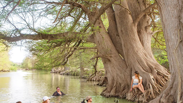People swimming at Guadalupe River State Park