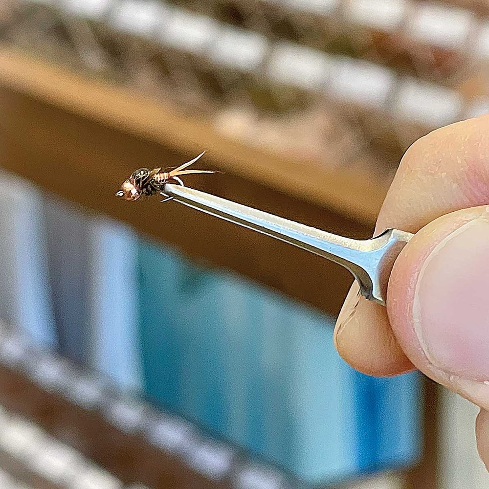 Perosn holding a small fly lure with tweezers.