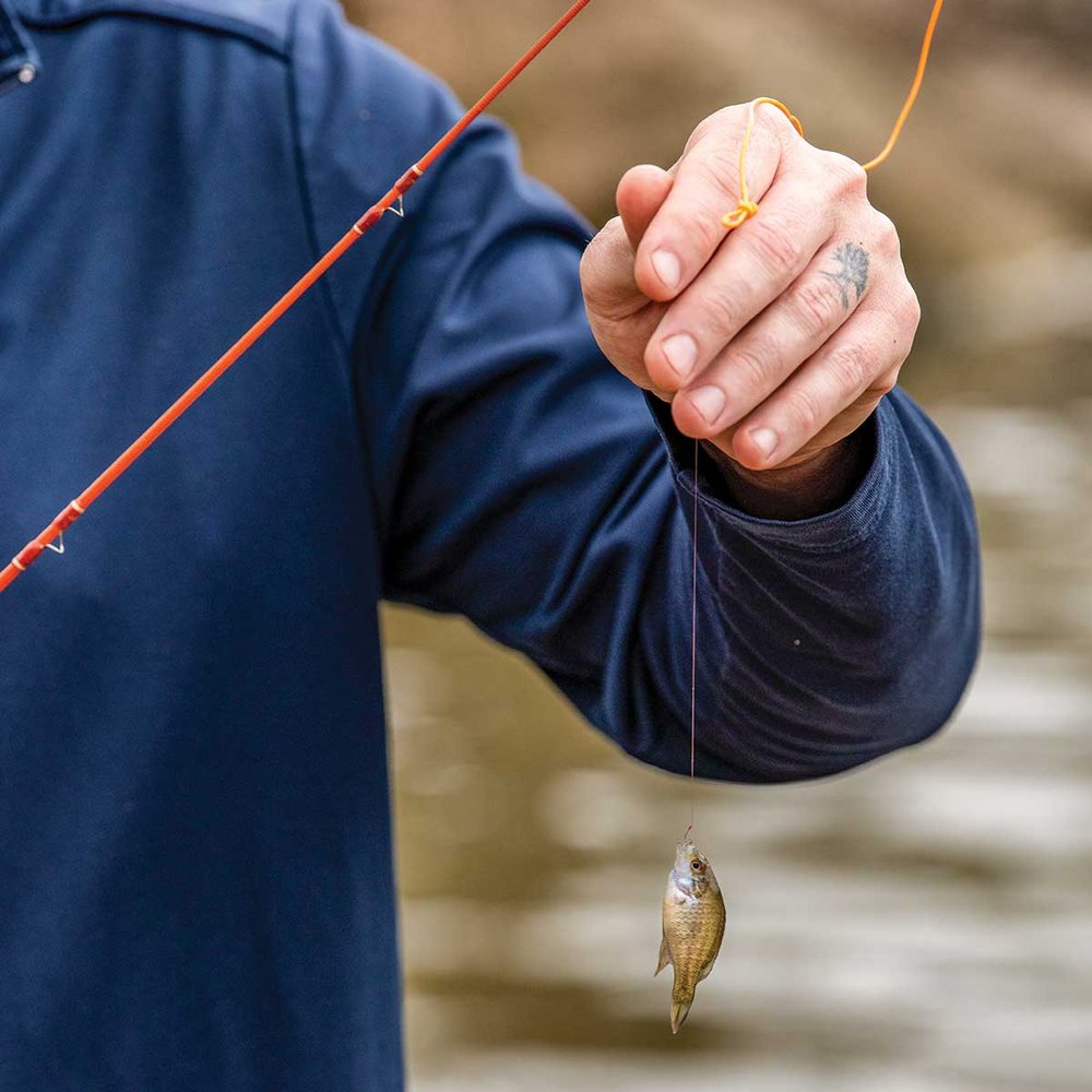 Person holding a tiny fish on a fishing line.