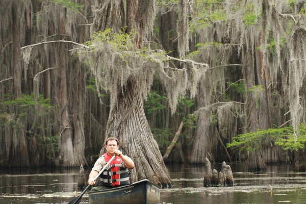 Person paddling in a canoe in the waters of Caddo Lake.