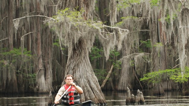 Person paddling in a canoe in the waters of Caddo Lake.