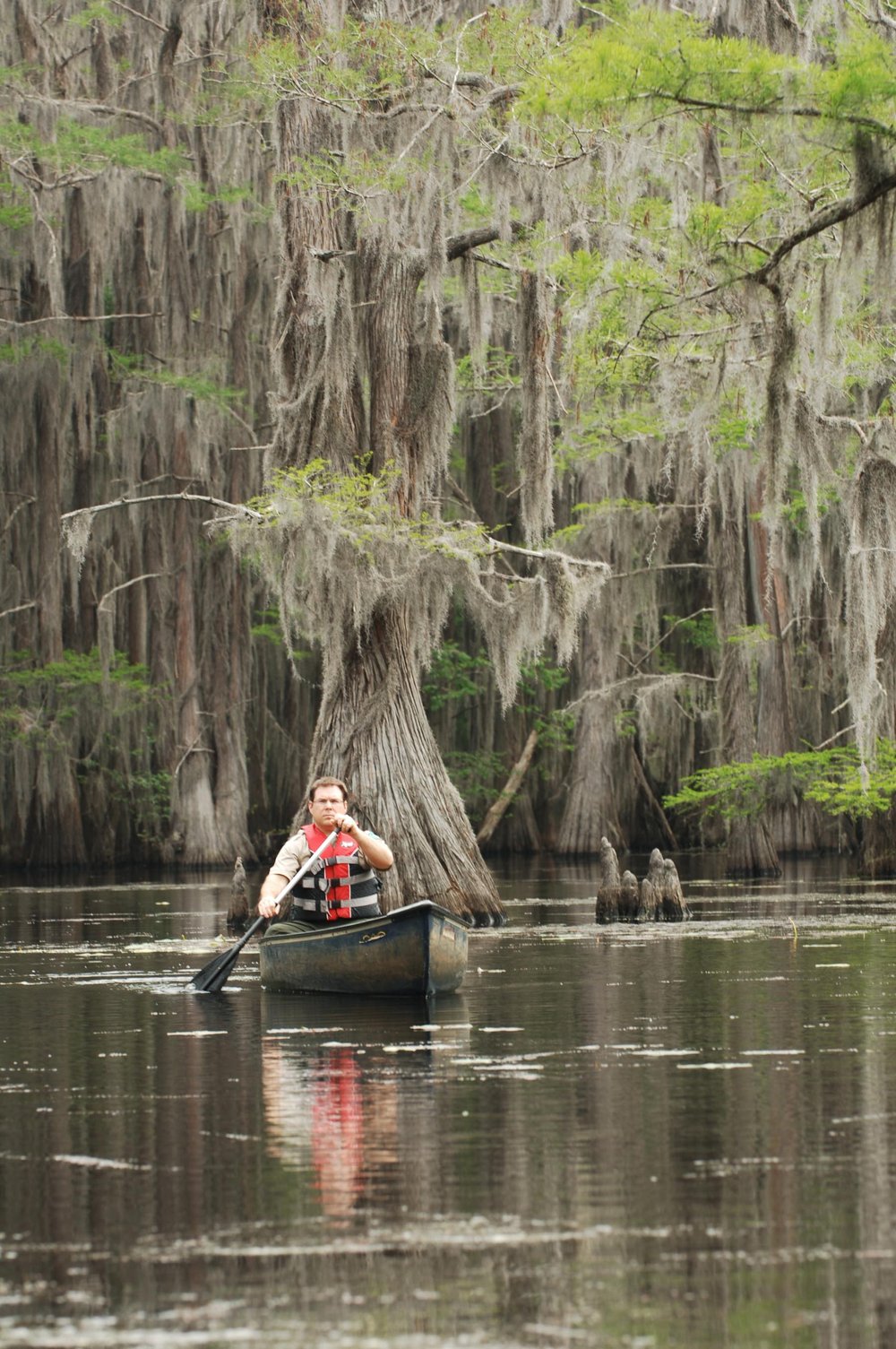 Person paddling in a canoe in the waters of Caddo Lake.