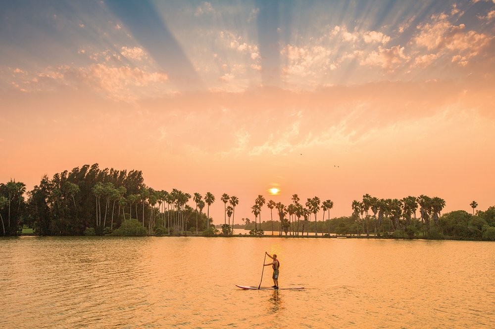 Person paddling on water with palm trees in the background at sunrise