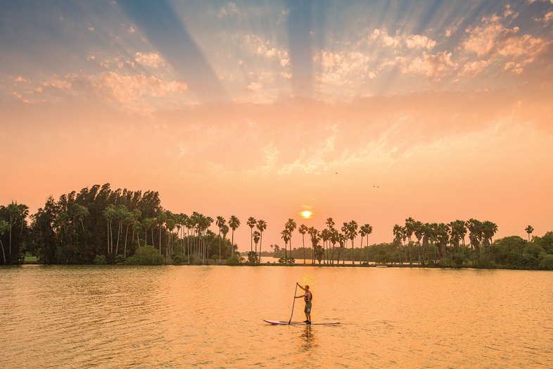 Person paddling on water with palm trees in the background at sunrise