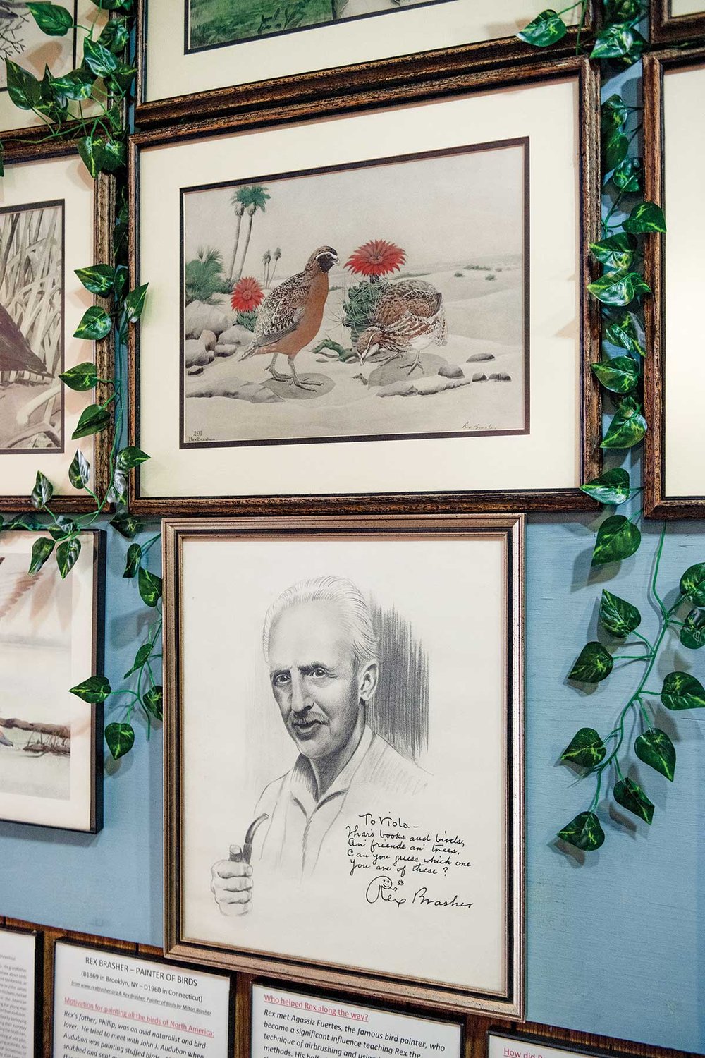Portrait of Rex Brasher with his bird artwork.