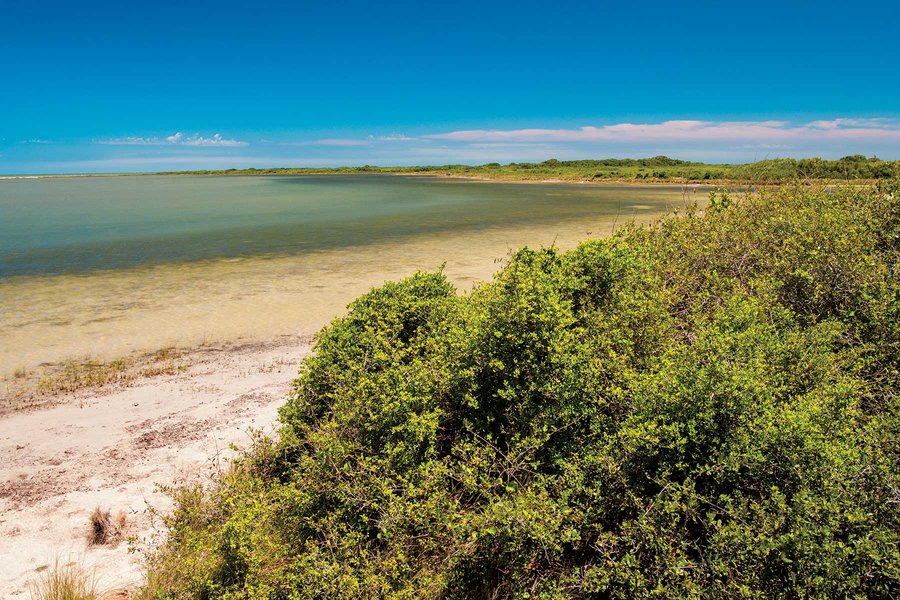 Powderhorn Widlife Management Area beach and brush