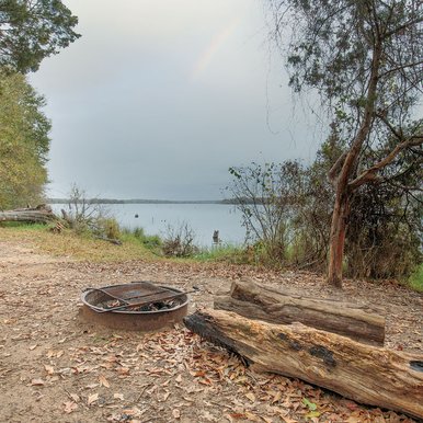 Primitive campsite at Purtis Creek State Park