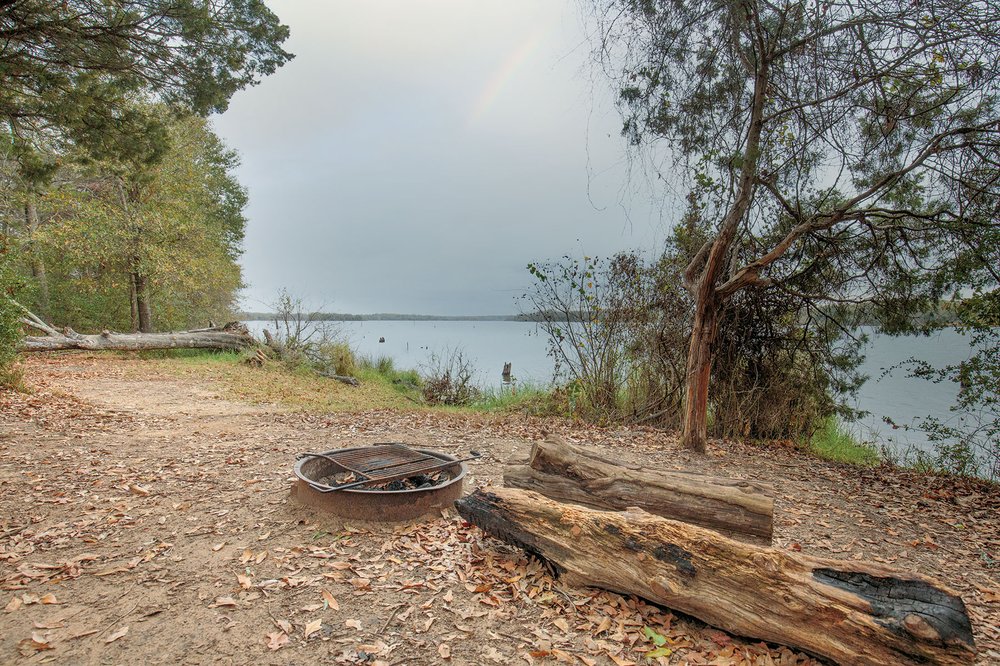 Primitive campsite at Purtis Creek State Park
