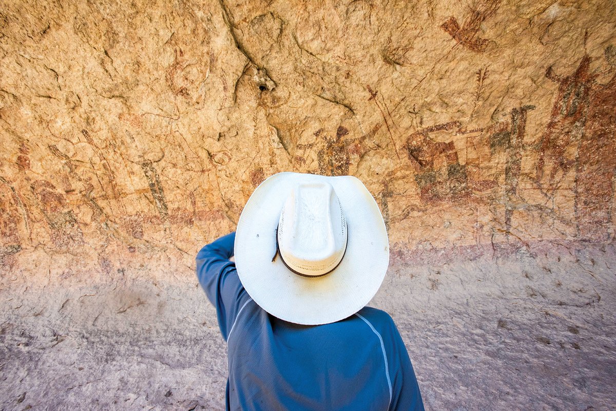 Person in blue shirt with a white hat looking at the canyon wall pictographs at the Lower Pecos Canyonlands