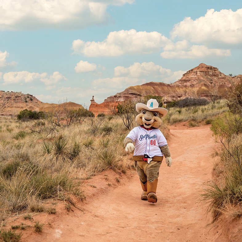 Sod Poodles mascot Ruckus walks in Palo Duro state park