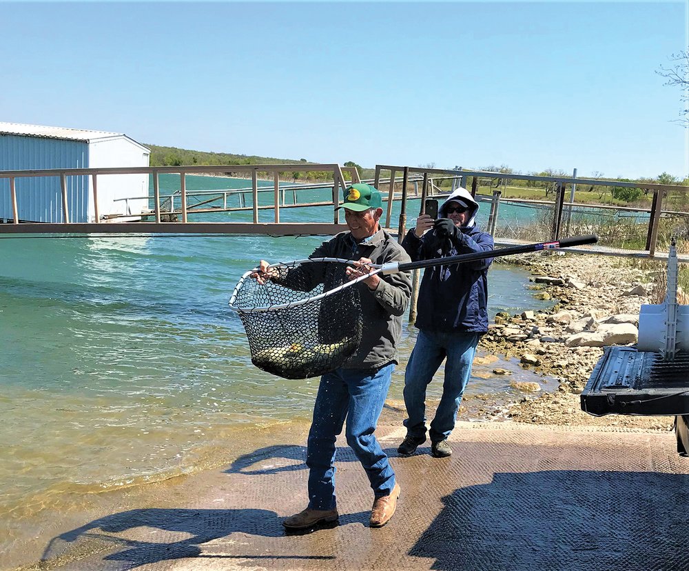 Releasing a Sharelunker bass at Coleman City Lake
