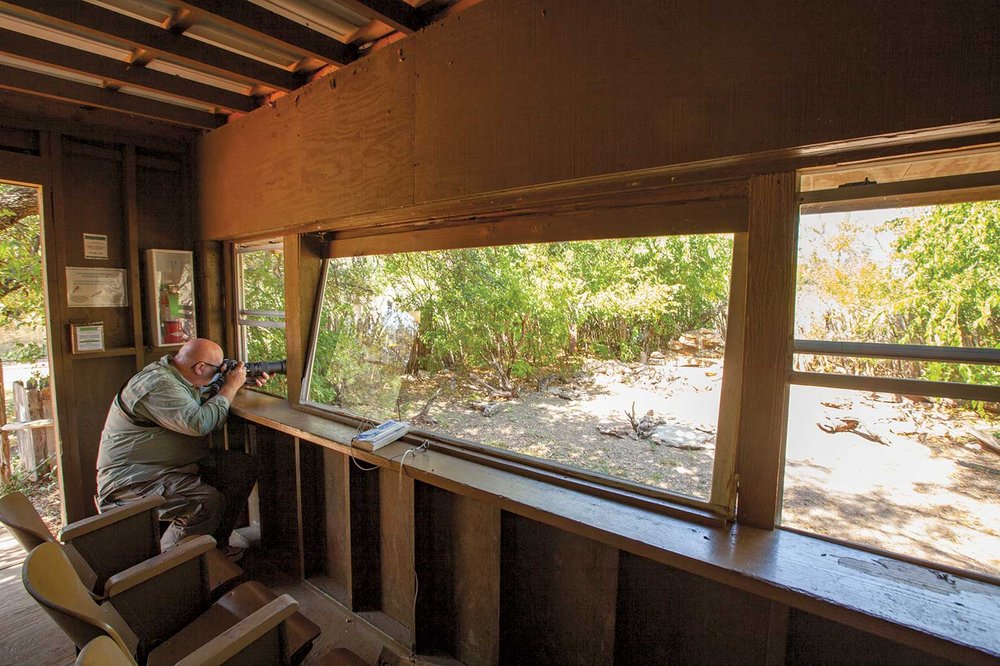 man sitting in a chair with a camera at the south llano river state park blind