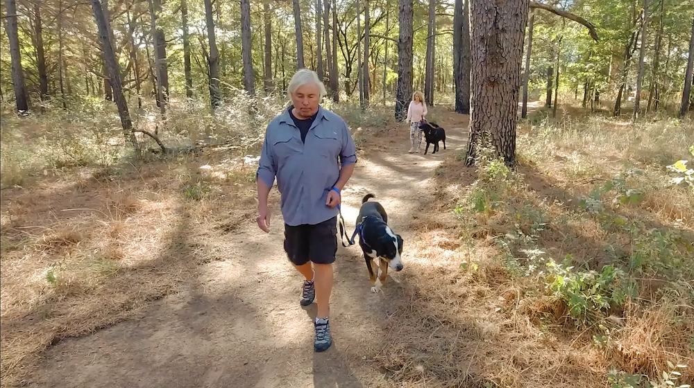 People walking at a distance down a trail each with a dog. The front dog is black with a white streak down its head into the face while the dog in the background is black