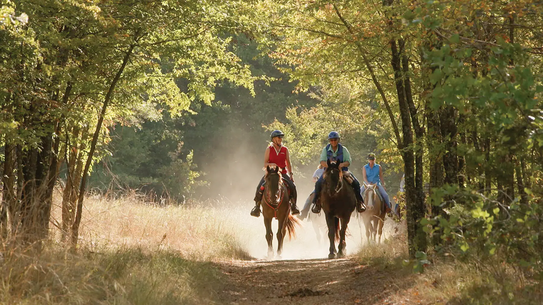 Three people on horseback going down a wooded trail