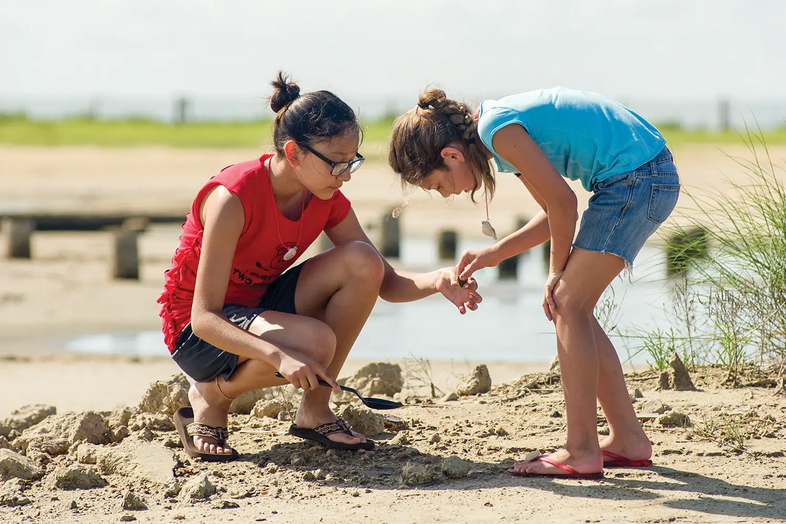 Sea Rim State Park kids digging in the sand and  looking at something they found
