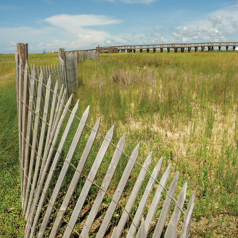 Sea Rim State Park grassy area in the sand with a fence up for protection looking out at a pier