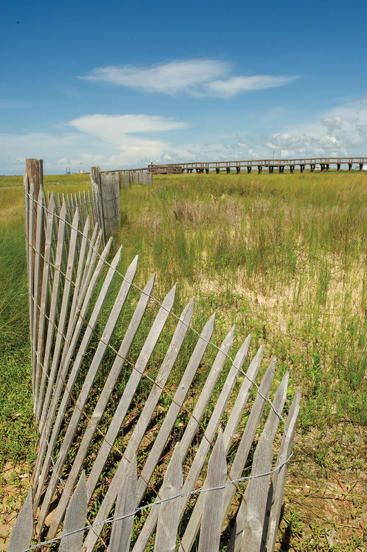 Sea Rim State Park grassy area in the sand with a fence up for protection looking out at a pier