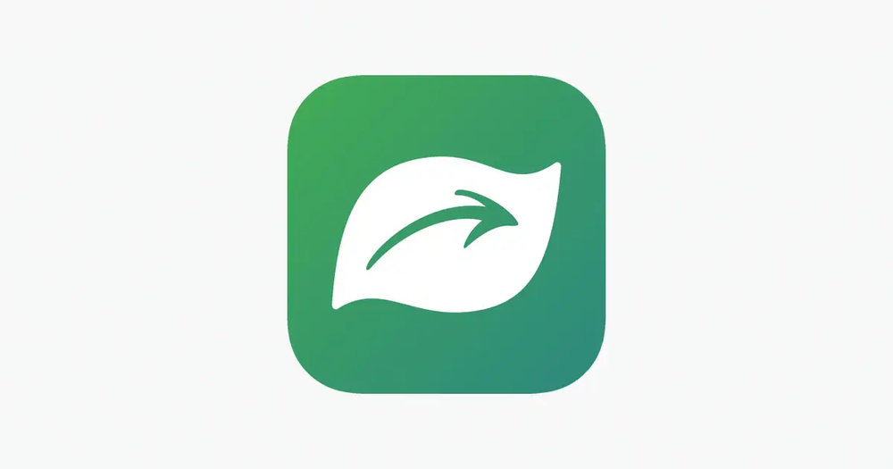 SeekApp logo - White Leaf with arrow pointing right in the center and a green background