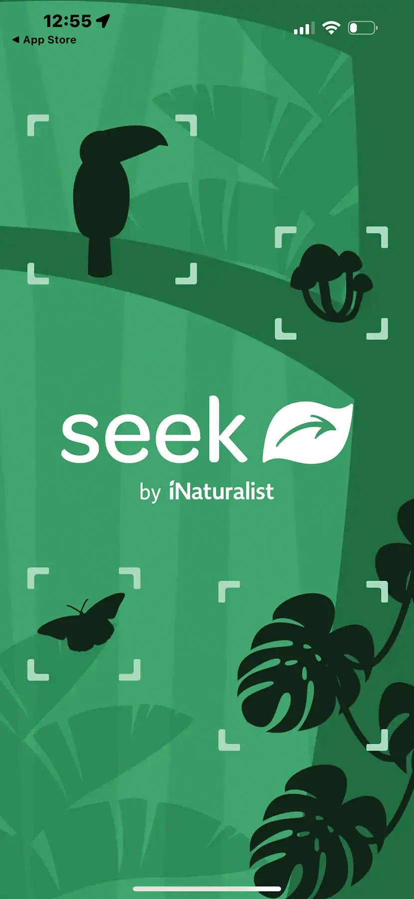 SeekApp opening screen Green background with the faded shapes of birds and plants with the Seek App logo