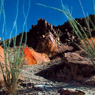 Study Butte with ocotillo plants in the foreground
