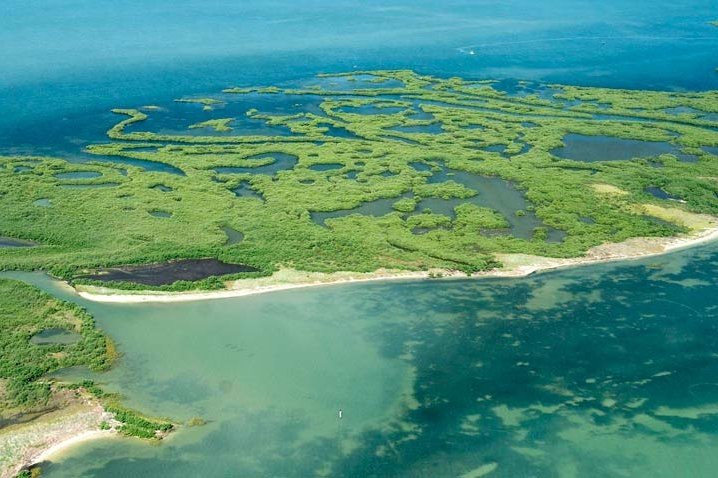 Marshlands along the Texas coast