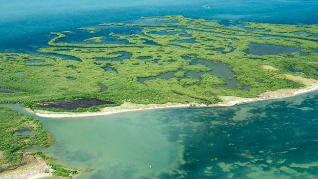 Marshlands along the Texas coast