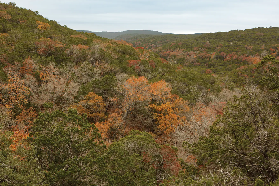 Texas Hill Country with fall colors