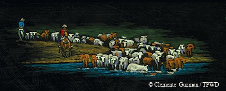 ranchers on a cattle drive leading the cattle through the river