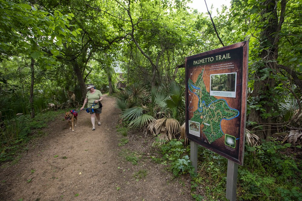 Interpretive Trail at Palmetto State Park