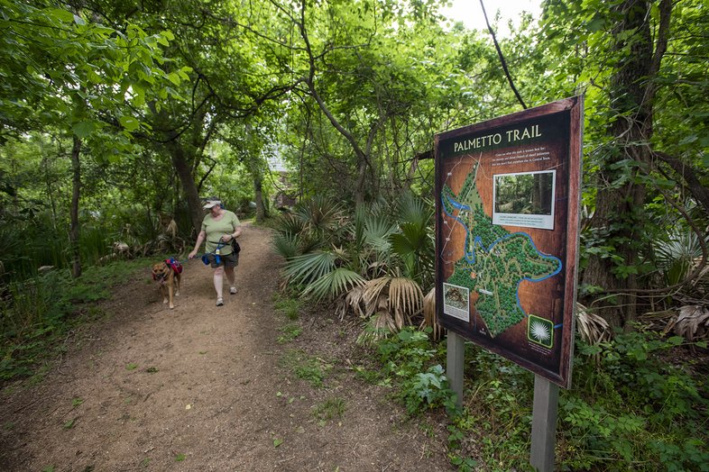 Interpretive Trail at Palmetto State Park
